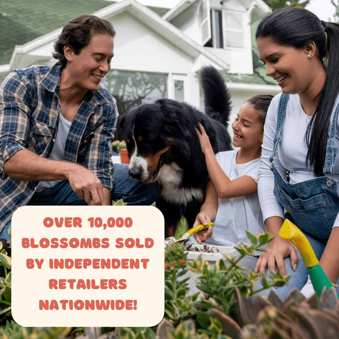 Egg Carton “It's Spring” – 6 Wildflower Seed Bombs Gift