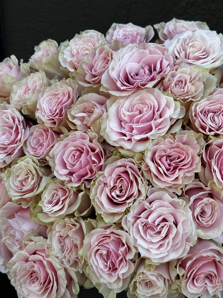 25 stems Pink Mondial - After Valentine's Sale