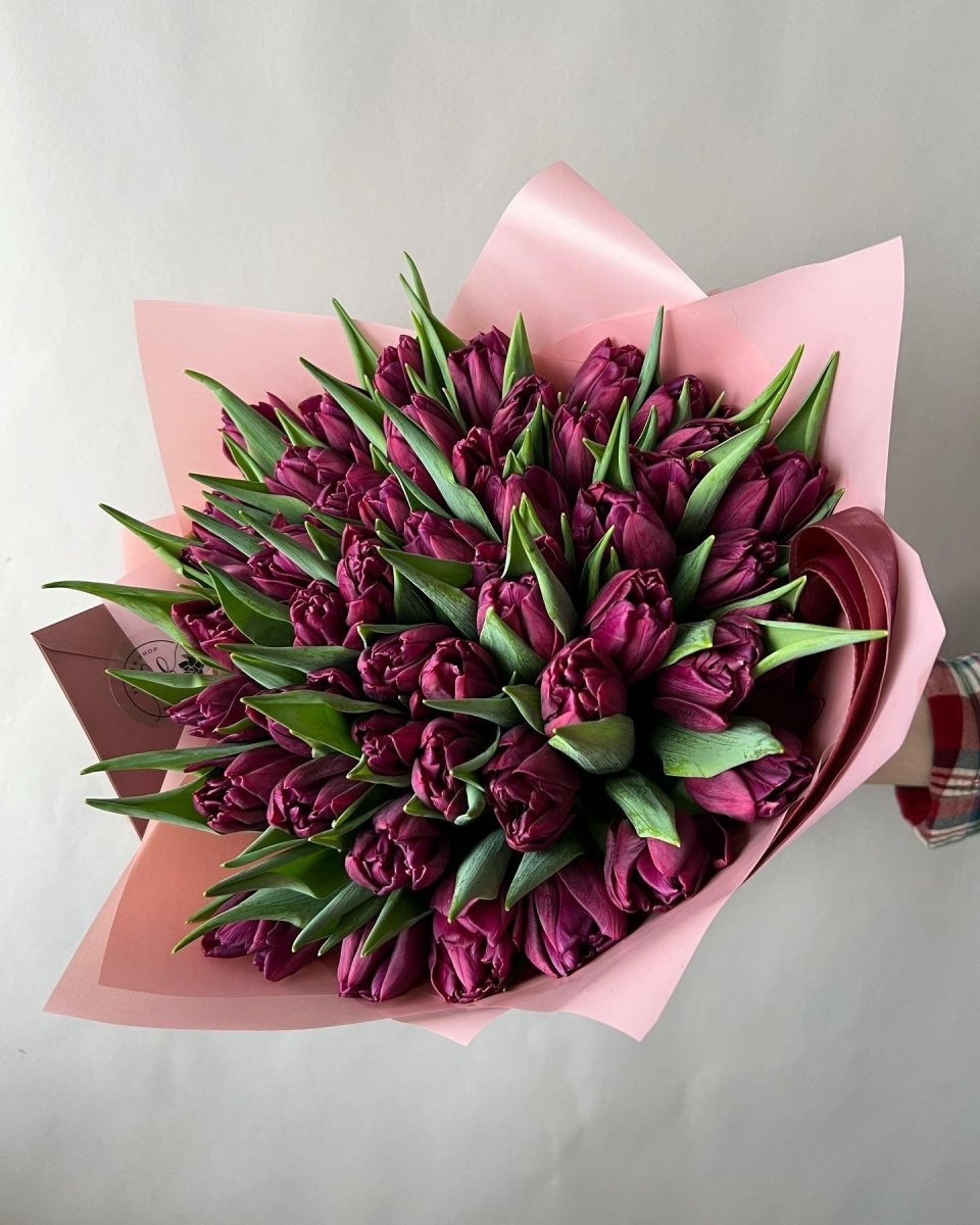 Elegant bouquet of deep burgundy tulips wrapped in soft pink paper with burgundy ribbon on neutral background