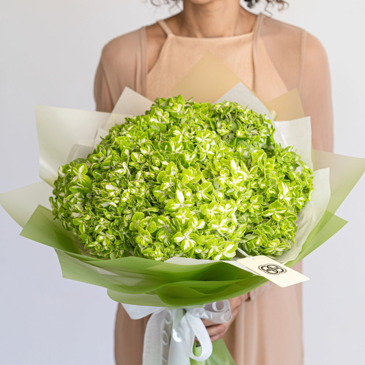 Large green hydrangea bouquet with white tissue paper wrapping and green accent paper held by woman in beige outfit