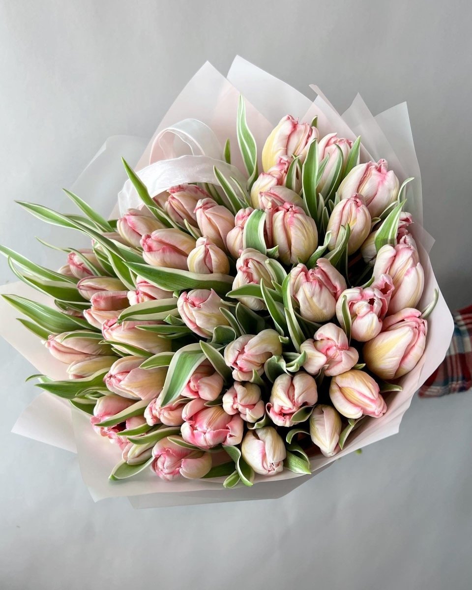 Pink and cream tulip bouquet with green leaves wrapped in white paper on gray surface