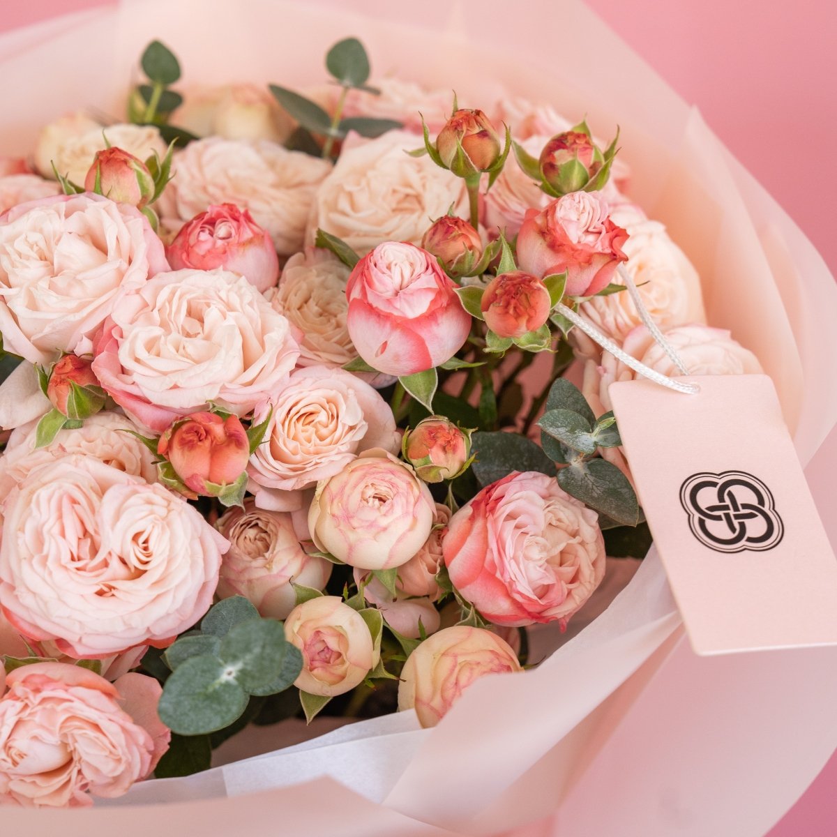 Pink and peach spray rose bouquet with eucalyptus wrapped in blush paper on pink background