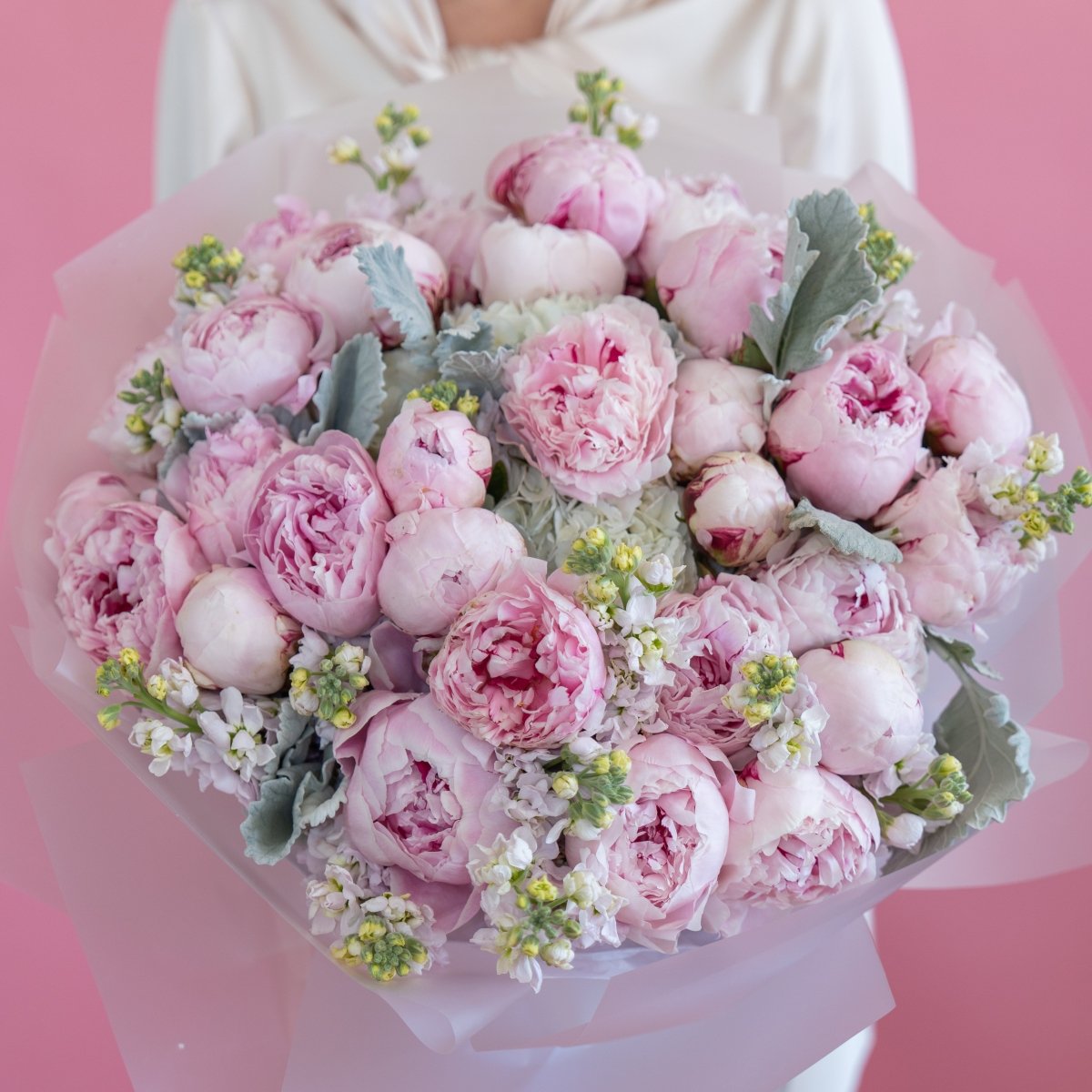 Luxurious pink peony bouquet with dusty miller foliage and white accent flowers wrapped in soft pink paper