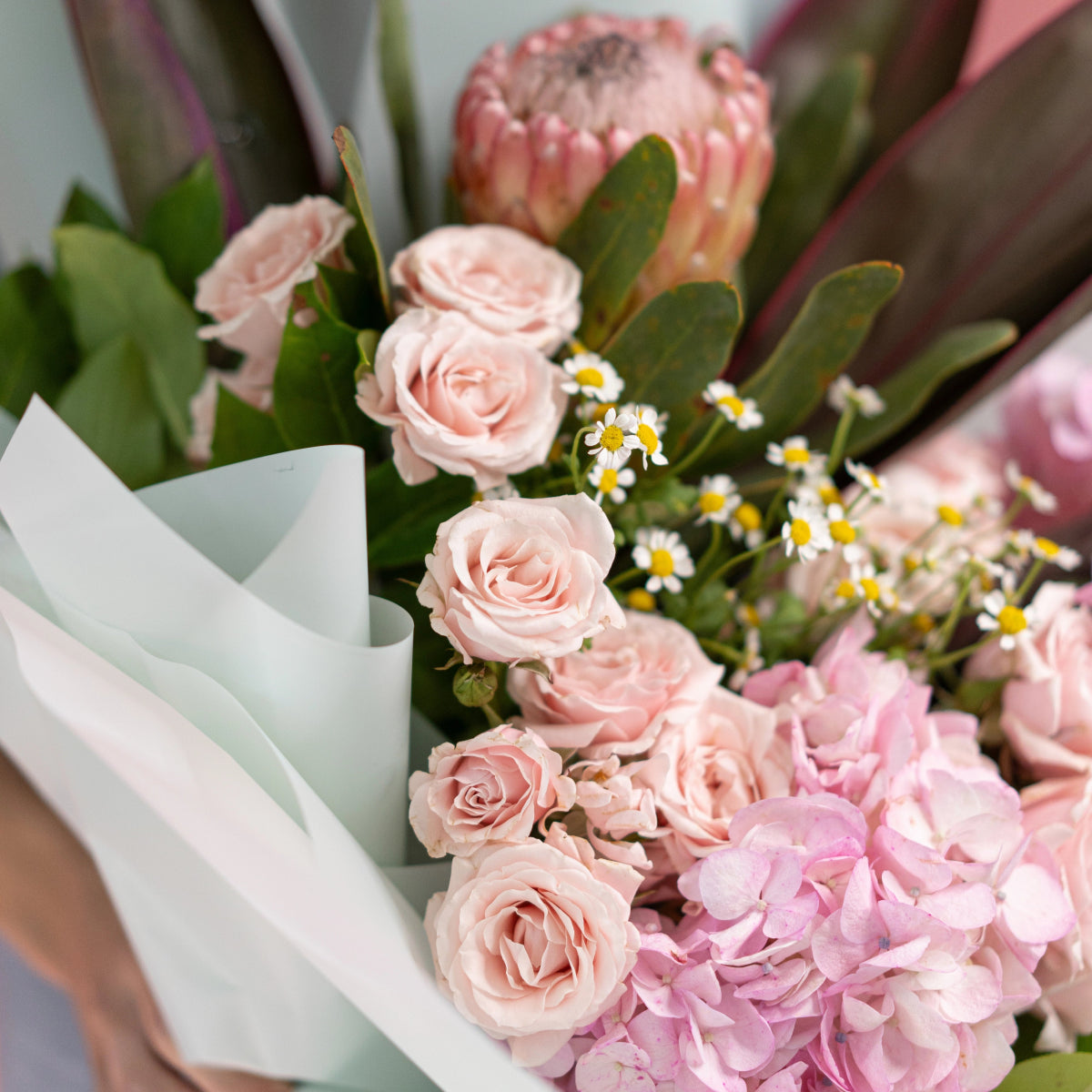 Pink rose bouquet with blush hydrangea, white daisies and protea wrapped in sage green paper