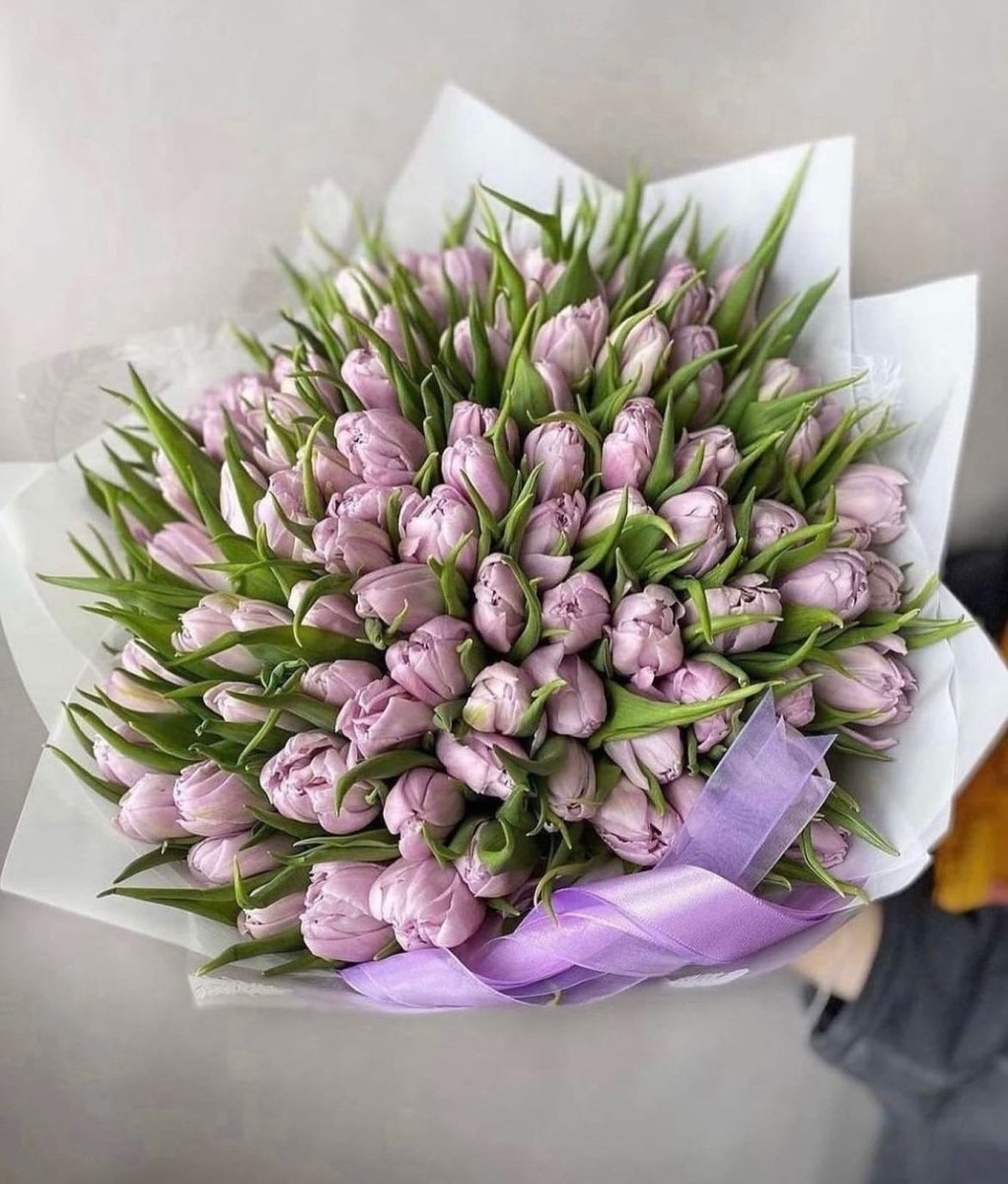 Large bouquet of pale purple tulips with green stems wrapped in white paper with lavender ribbon