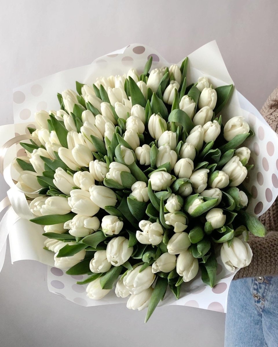 Fresh white tulip bouquet with green leaves wrapped in polka dot paper, 51 stems arranged in round bundle