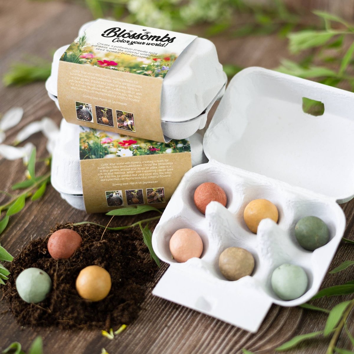 Egg Carton “It's Spring” – 6 Wildflower Seed Bombs Gift