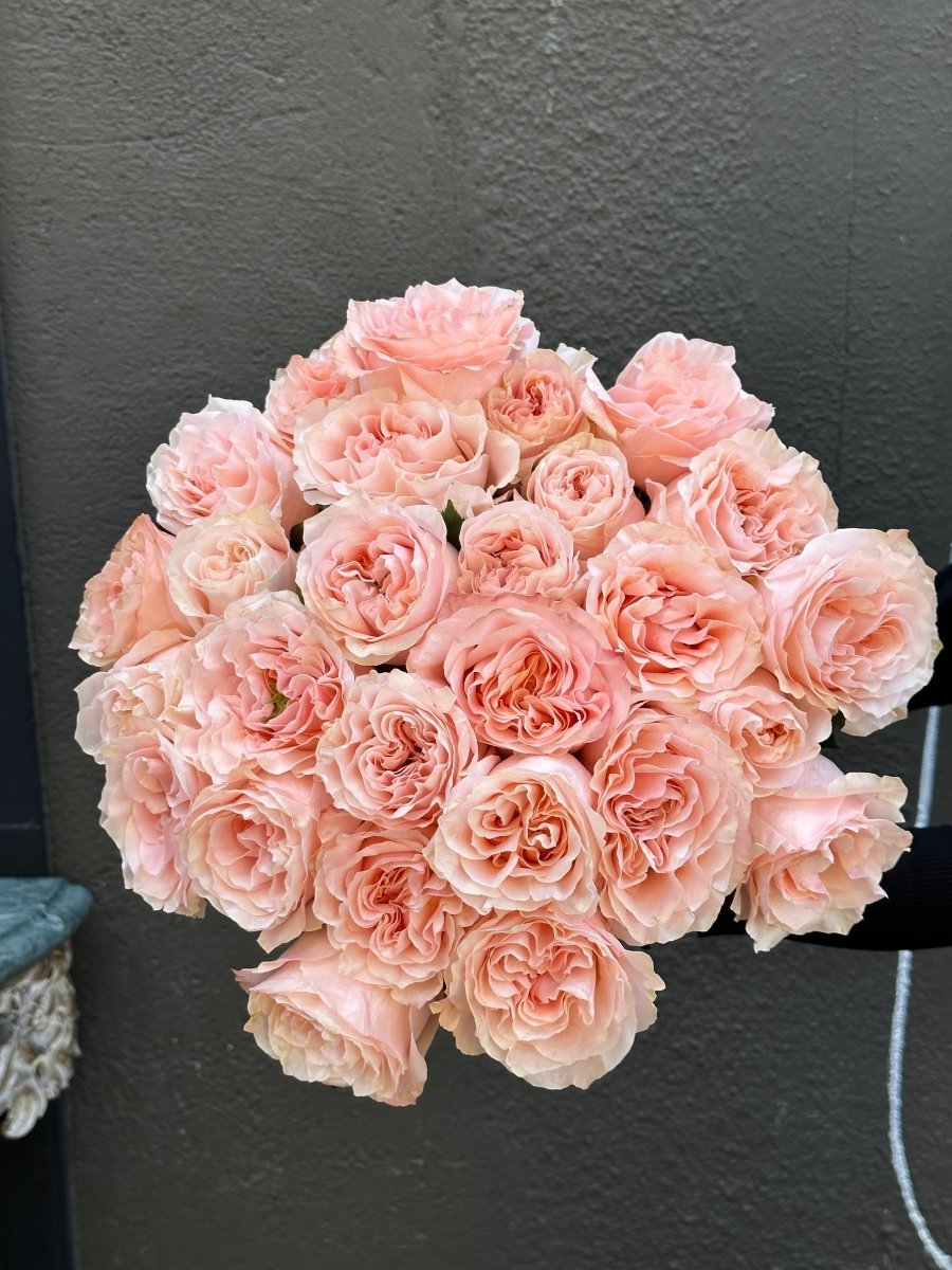 Princess Crown Garden Roses