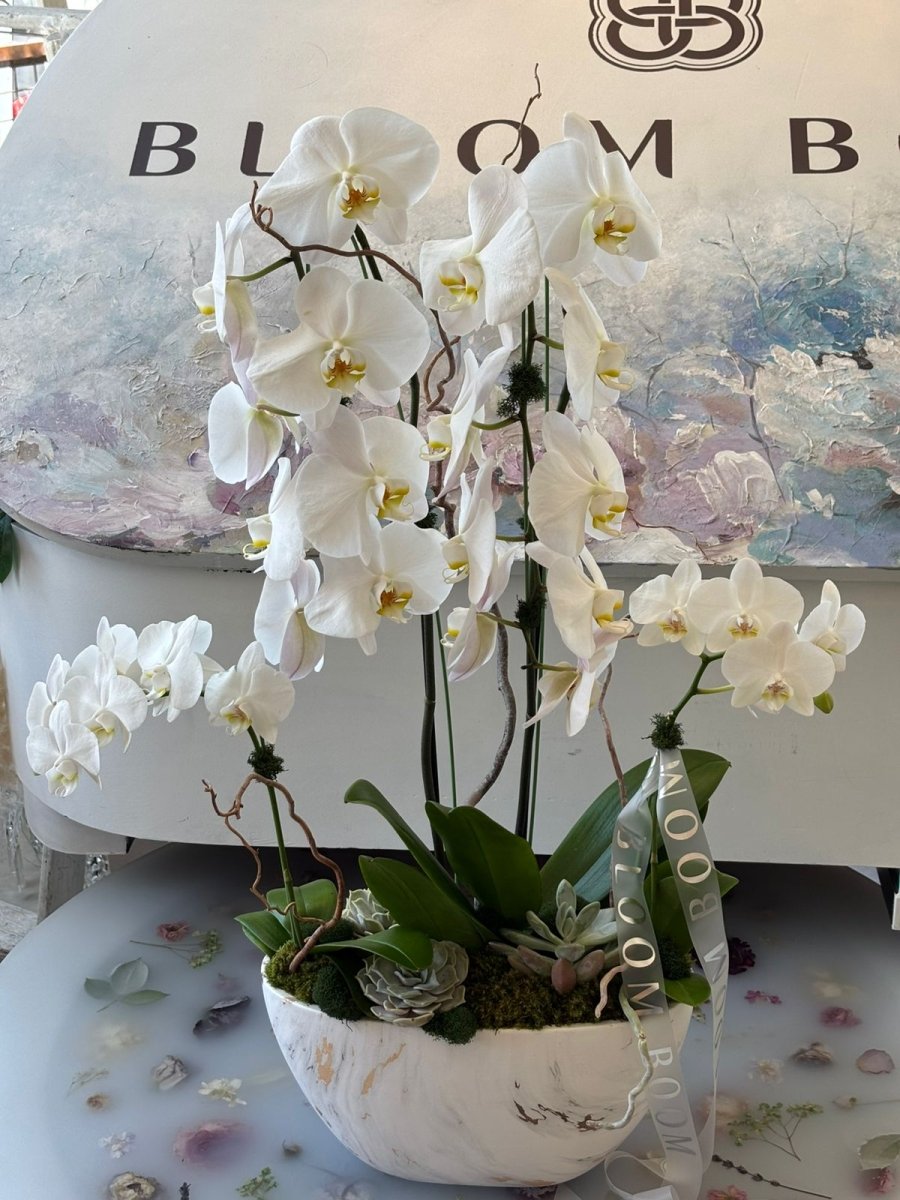 The Grand Cascade Orchid Boat