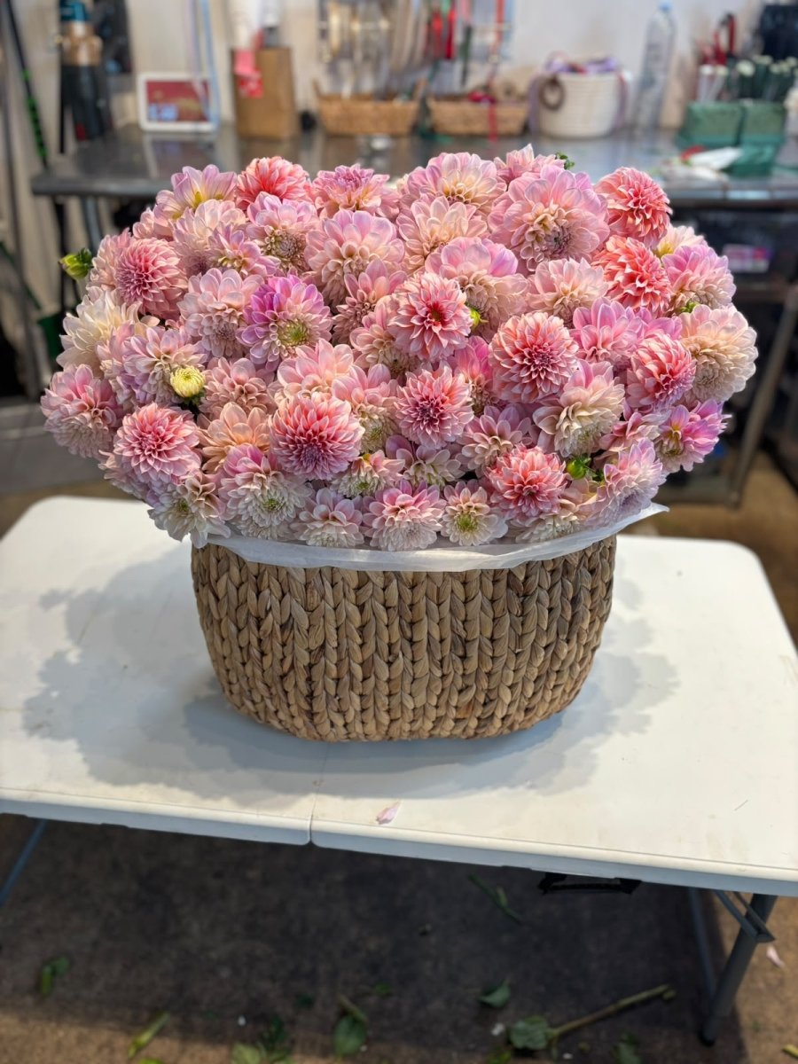 Basket of 101 dahlias - Next Day Only