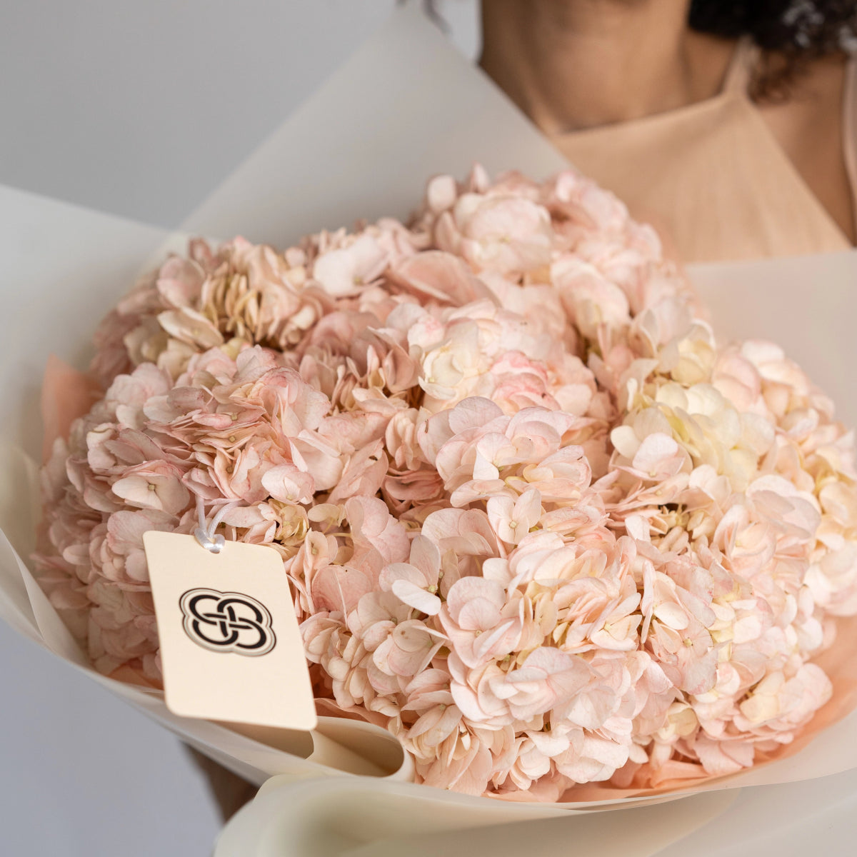 Blush pink hydrangea bouquet wrapped in cream paper with branded tag, held by person in soft lighting