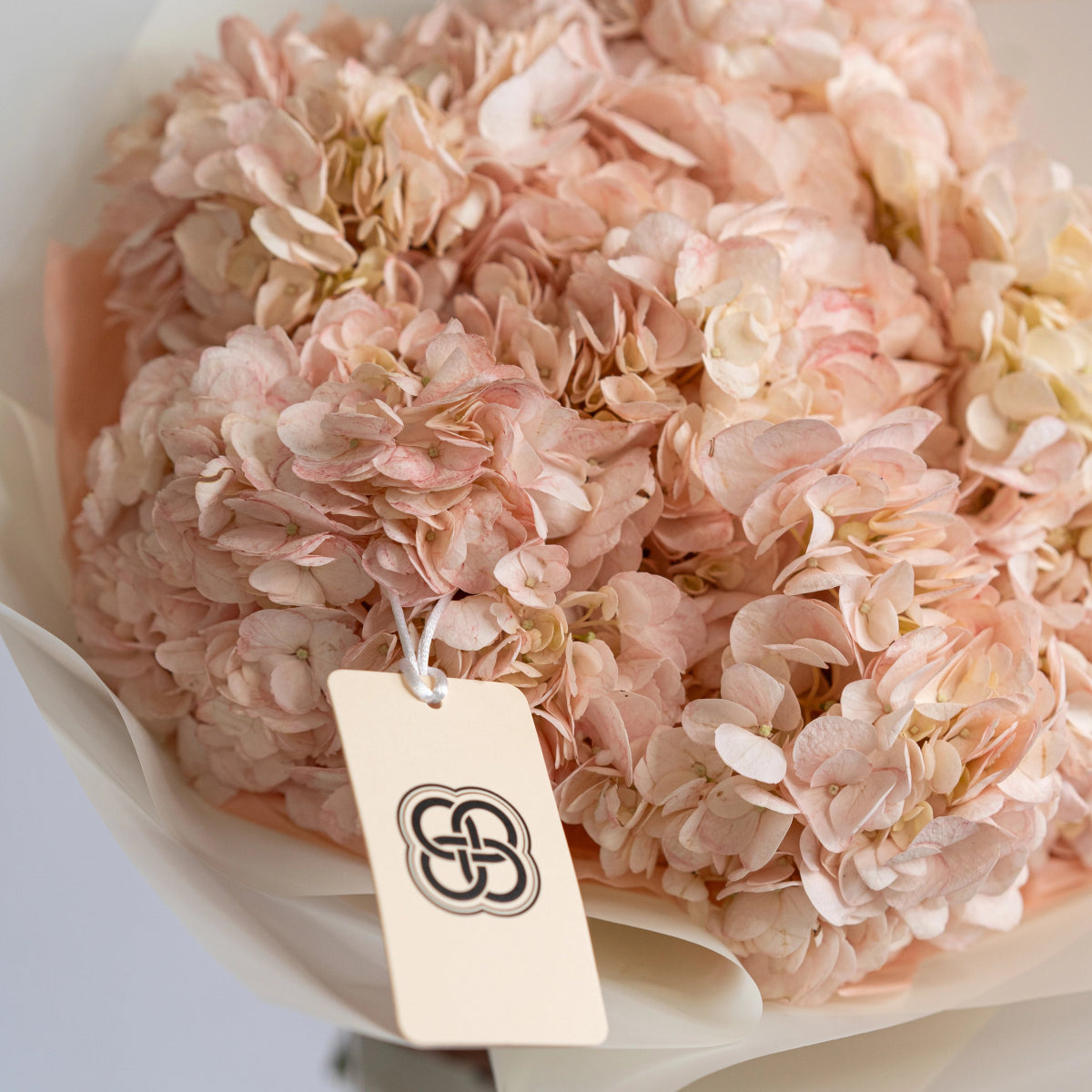 Soft blush pink hydrangea flower bouquet in white paper wrapping with cream colored brand tag