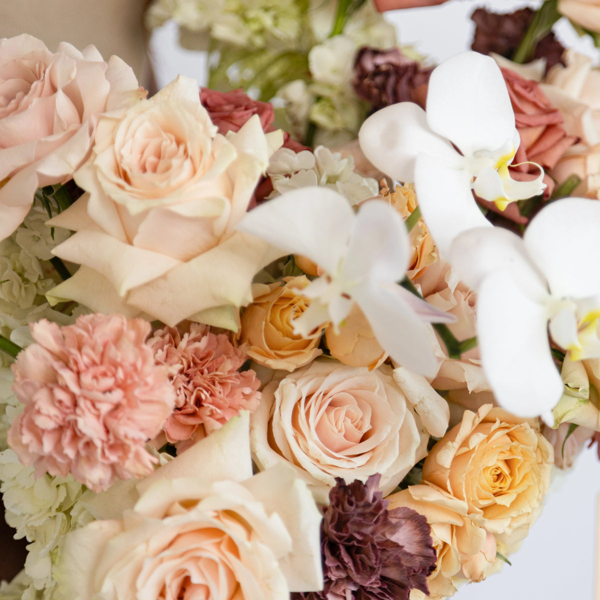 Mixed flower bouquet with peach roses, white orchids, pink carnations, burgundy blooms and cream hydrangea