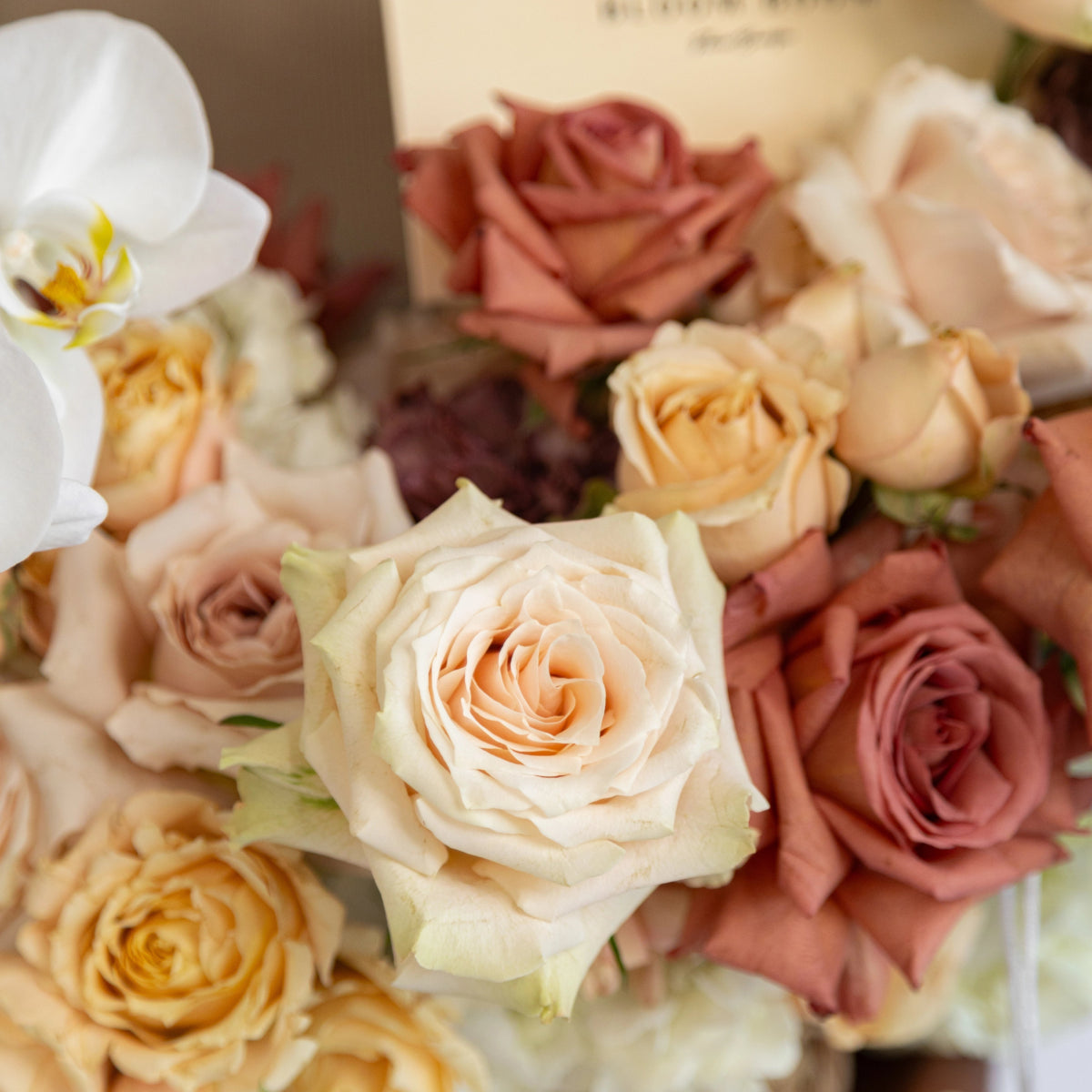 Mixed rose bouquet with cream, dusty rose, and coral roses plus white orchid in elegant arrangement