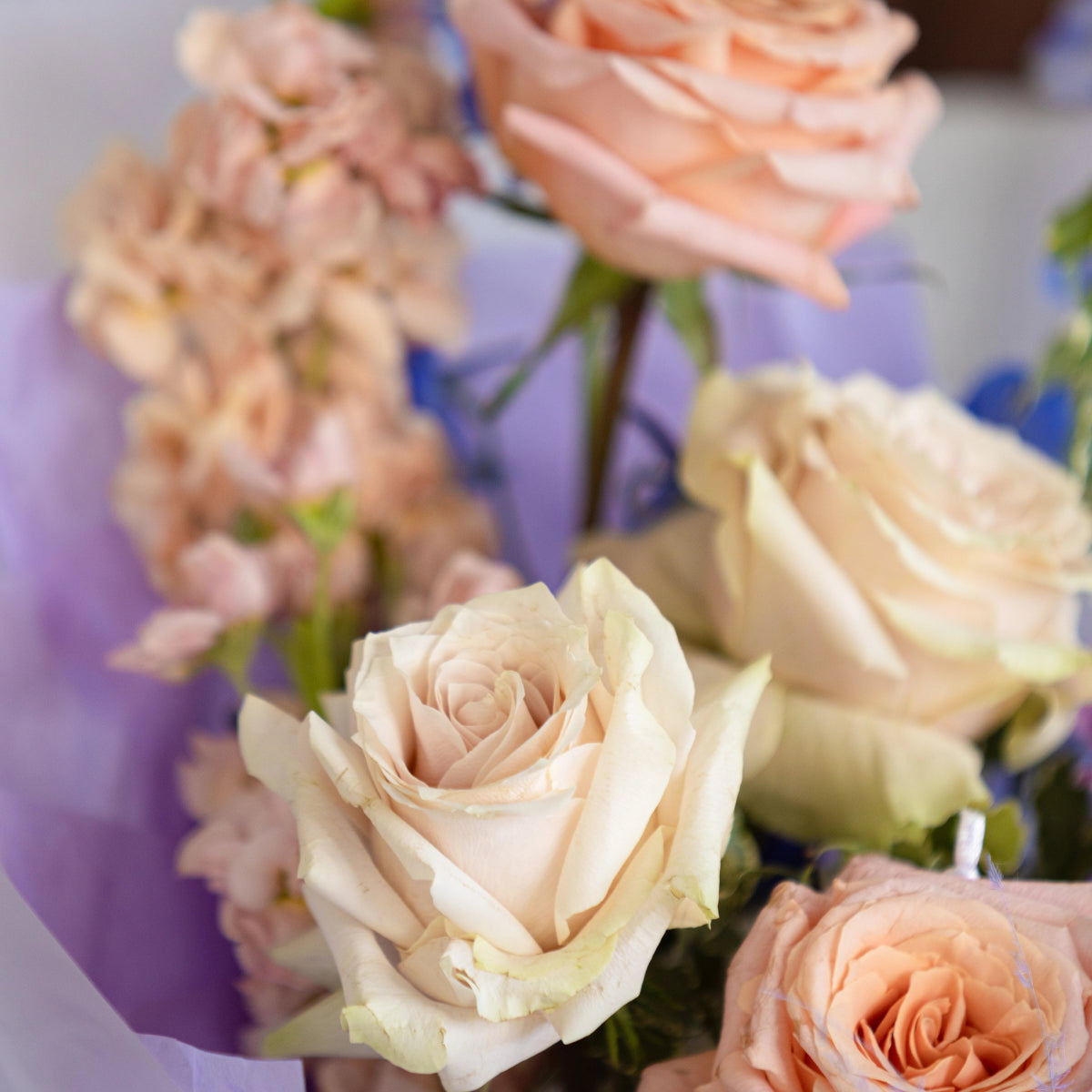 Soft peach and cream roses with pink hydrangea in elegant small bouquet arrangement