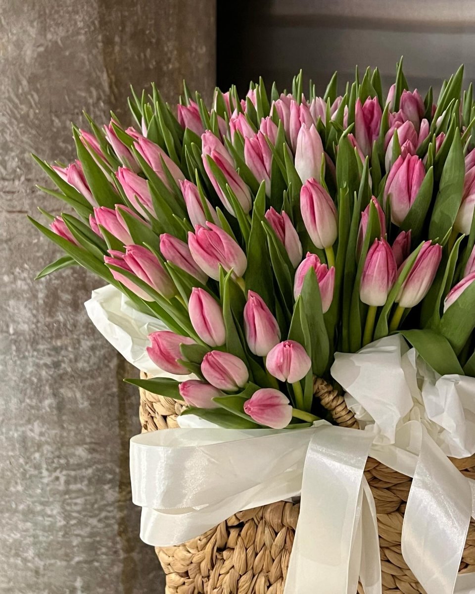 Pink tulip bouquet in wicker basket with white ribbon bow, closed buds with green leaves