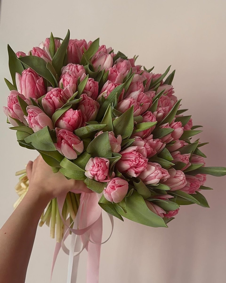 Hand holding bouquet of pink tulips with green leaves tied with pale pink ribbon against neutral background