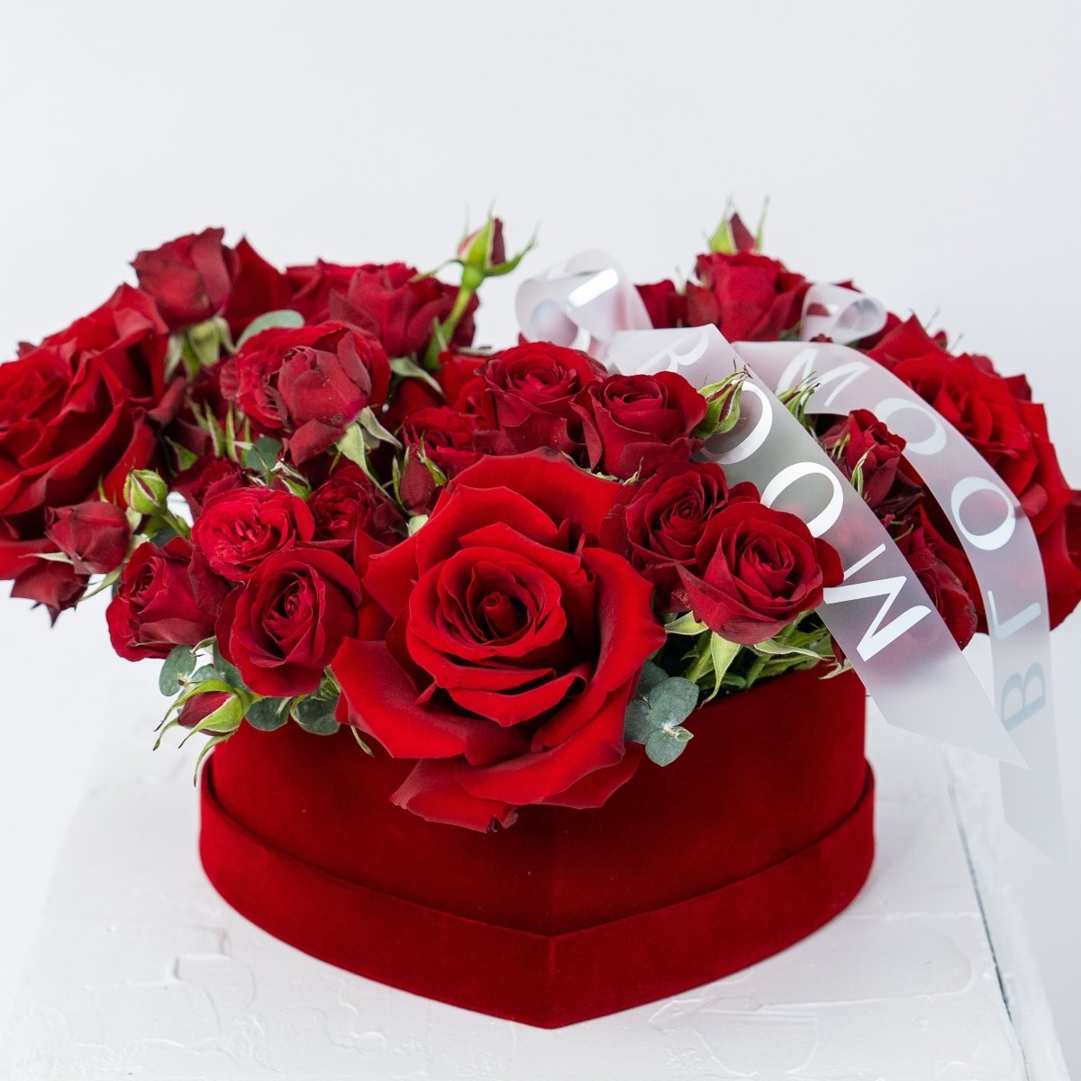 Red heart-shaped velvet box filled with deep red roses and white ribbon on white background