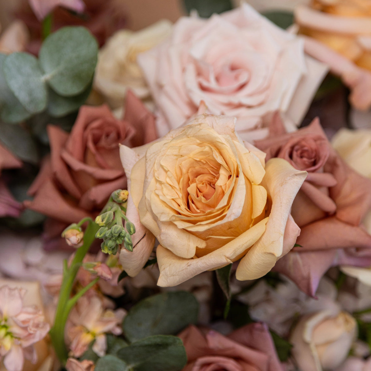 Elegant mixed rose bouquet featuring cream, dusty rose and blush pink roses with eucalyptus and green stems