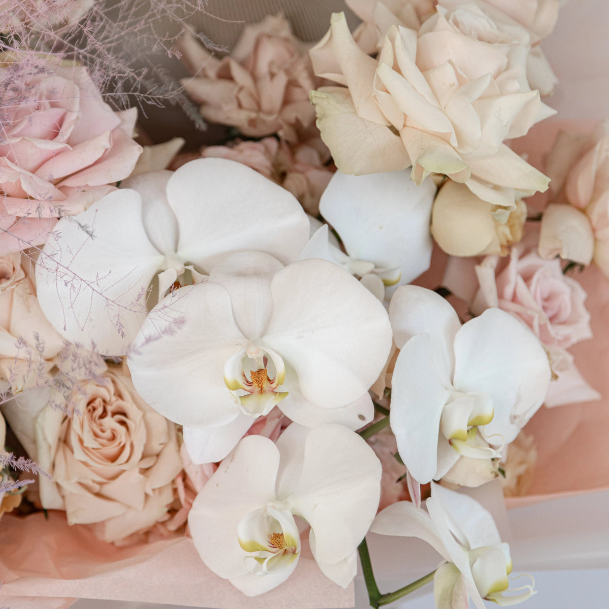 Elegant white orchid and blush pink rose bouquet with cream hydrangea and delicate netting accents