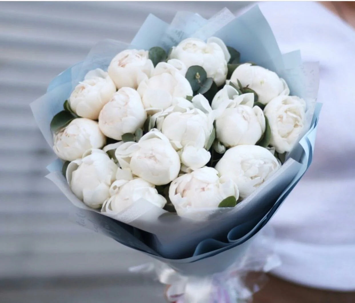 White peony bouquet wrapped in light blue tissue paper with green foliage, perfect for weddings and special occasions